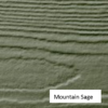 Mountain-Sage