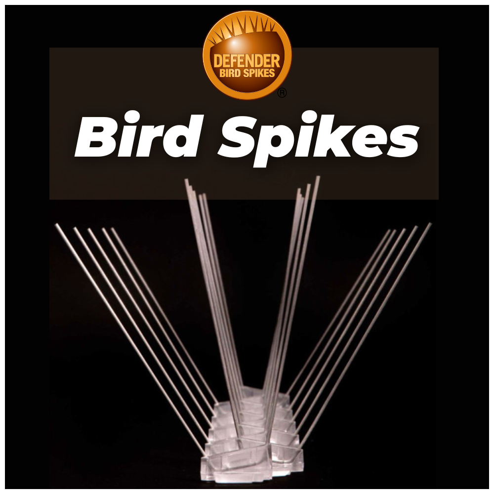 Bird Spikes