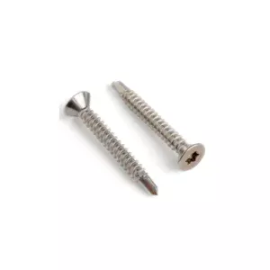 Stainless Steel Cladding Screw (32mm/45mm)